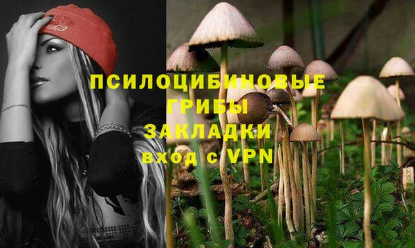 гидропоника Алексин