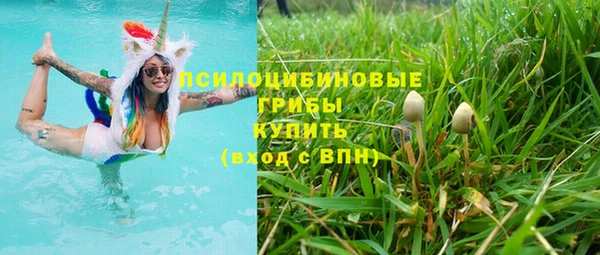 каннабис Алексеевка
