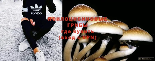 гидропоника Алексин